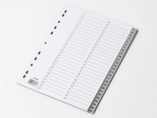 Billede af Plastregister Esselte A4 1-54 (10)