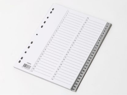 Billede af Plastregister Esselte A4 1-54 (10)