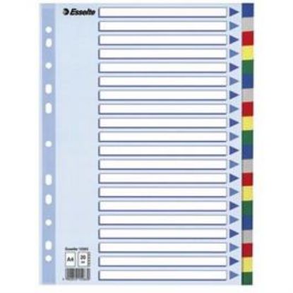 Billede af Faneblade Esselte A4 plast 20-delt (10)
