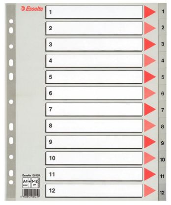 Billede af Plastregister Esselte A4 maxi 1-12