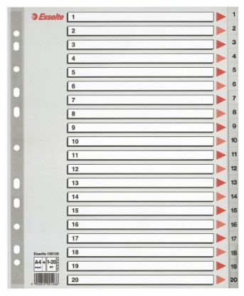 Billede af Plastregister Esselte A4 maxi 1-20
