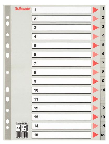Billede af Plastregister Esselte A4 1-15 (10)