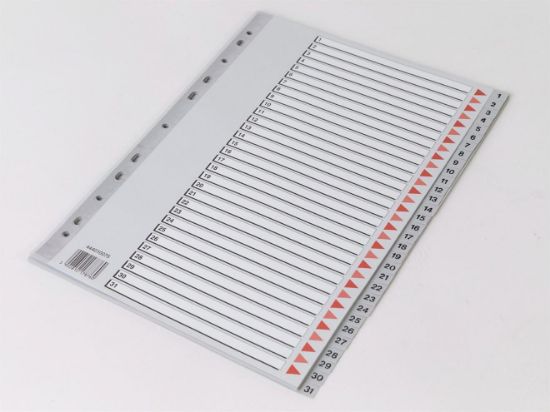 Billede af Plastregister Q-Line A4 1-31 (10)