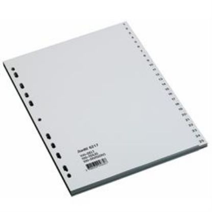 Billede af Plastregister Elba A4 1-100 (10)