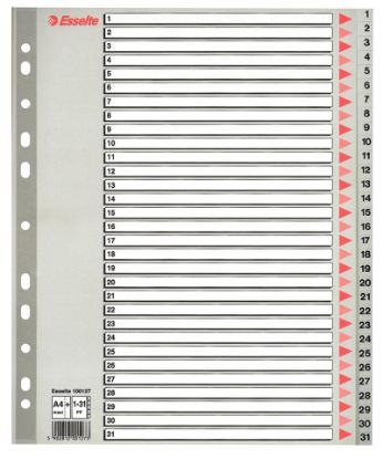 Billede af Plastregister Esselte A4 maxi 1-31