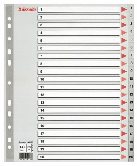 Billede af Plastregister Esselte A4 maxi 1-20