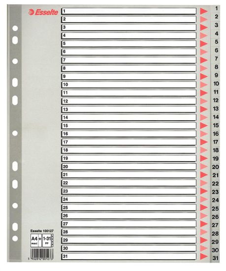 Billede af Plastregister Esselte A4 maxi 1-31