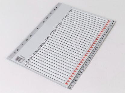 Billede af Plastregister Q-Line A4 1-31 (10)